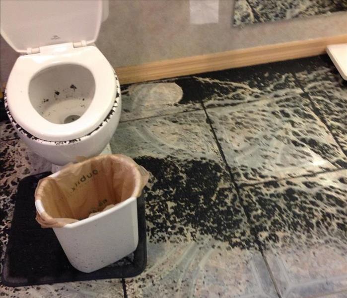 Sewage Backup Damage to Master Bathroom