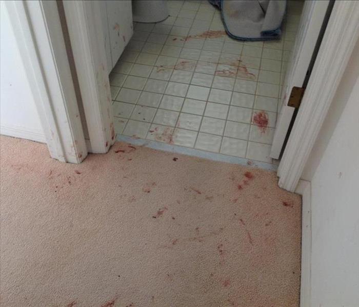 Blood stained and biohazard on floor and walls