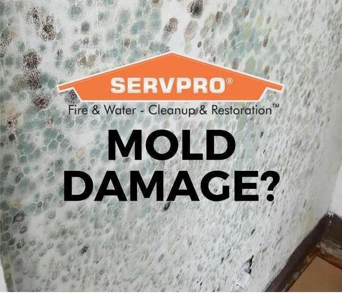 Image of mold damage with SERVPRO logo and tag line